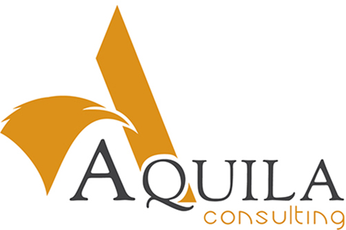 AQUILA Consulting - Analyse stratégique - Audit et contrôle de gestion
