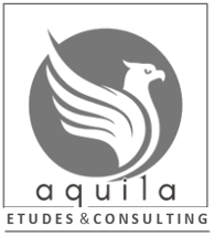 AQUILA Etudes et Consulting - Analyse stratégique - Diagnostic et contrôle de gestion